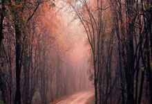 时隔5年！广东女篮3-1上届亚军重返总决赛 将PK四川女篮争冠.