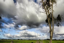 樊振东社交媒体发文 第一次访问皇马 Hala Madrid.