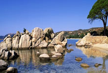 美国退出联合国人权理事会，停止资助巴勒斯坦救济机构.